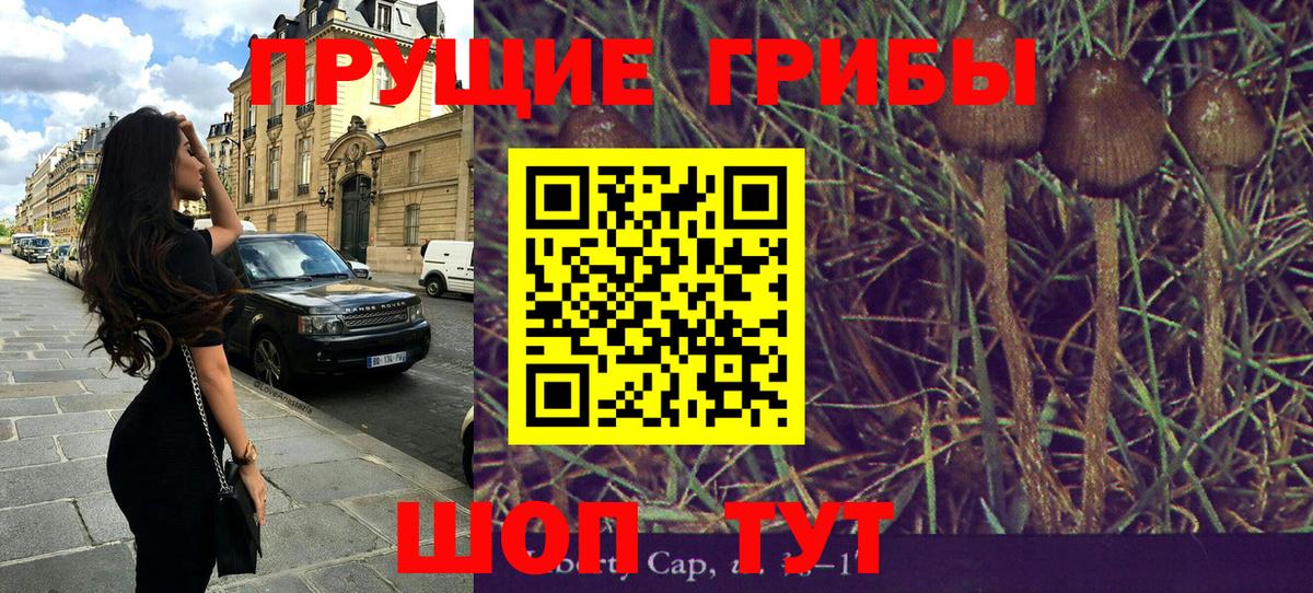купить наркоту  Вход с VPN  Зерноград  Псилоцибиновые грибы MAGIC MUSHROOMS 
